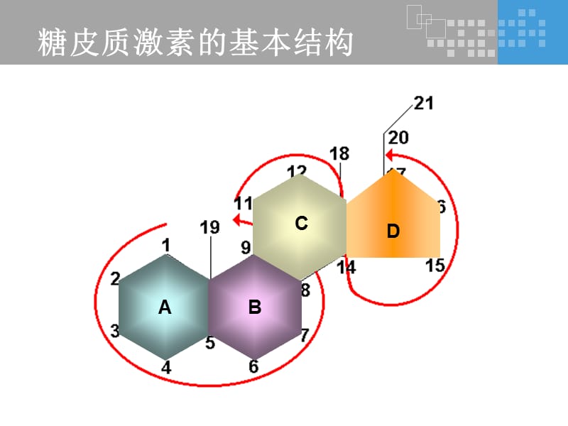 氟轻松是如何发挥其药理作用的？